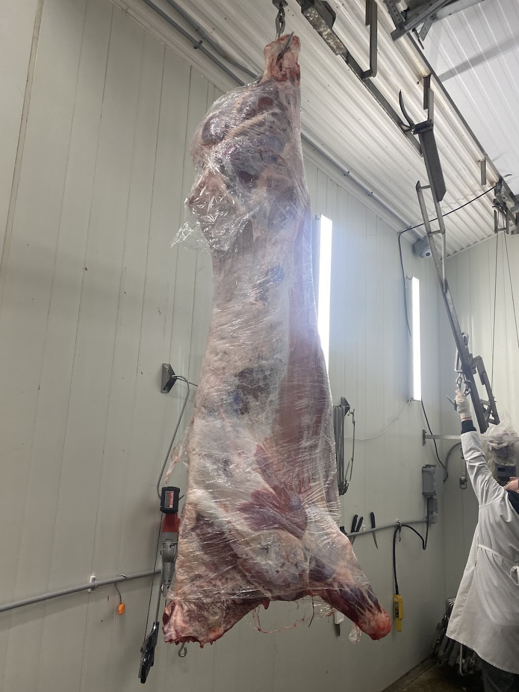 Holstock Farms LTD | 89615 Howick Minto Townline, Harriston, ON N0G 1Z0, Canada | Phone: (519) 580-1323