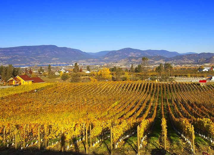 SpearHead Winery | 3950 Spiers Rd, Kelowna, BC V1W 4B3, Canada | Phone: (250) 763-7777