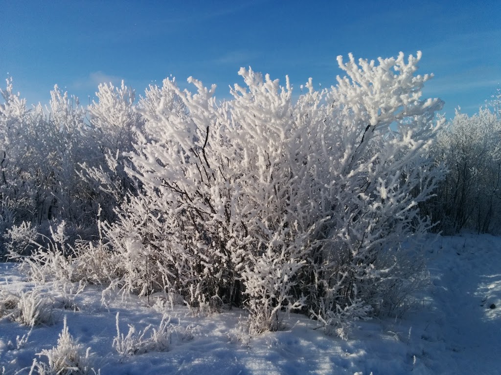 Peturrsons Ravine | Saskatoon, SK S7N 2G7, Canada