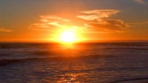 Beach Front Cottages | 191 9th St S, Sauble Beach, ON N0H 2G0, Canada | Phone: (519) 935-3457