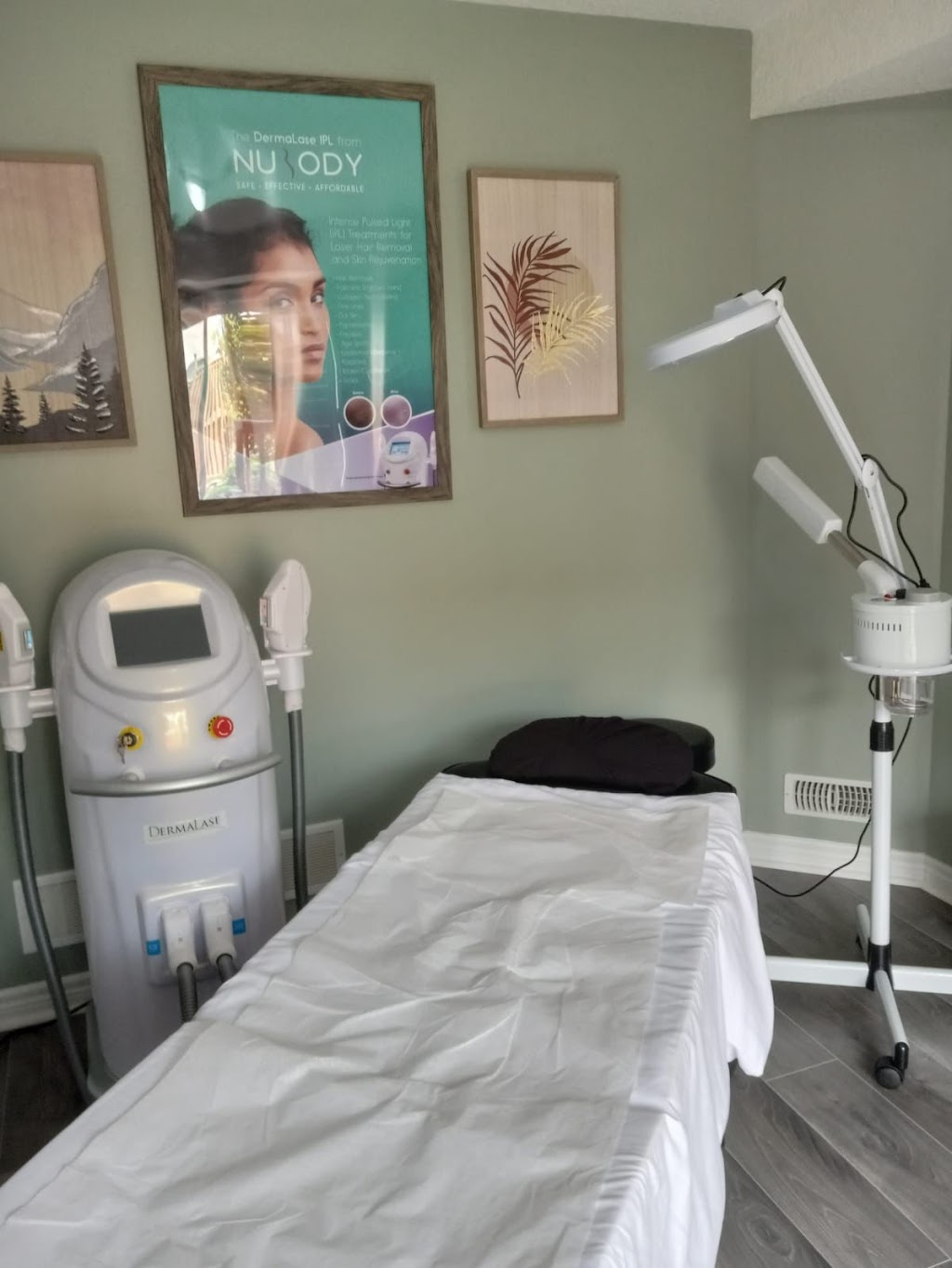 Shivs Laser Spa | 421 Jolliffe Ave, Township Of Guelph/Eramosa, ON N0B 2K0, Canada | Phone: (905) 699-6322