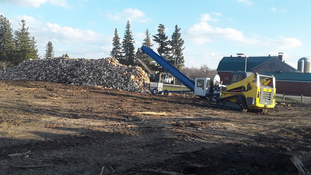 Ebersol Forestry {Firewood-Processing-Logging} | 4805 Line 76, Newton, ON N0K 1R0, Canada | Phone: (226) 751-5388
