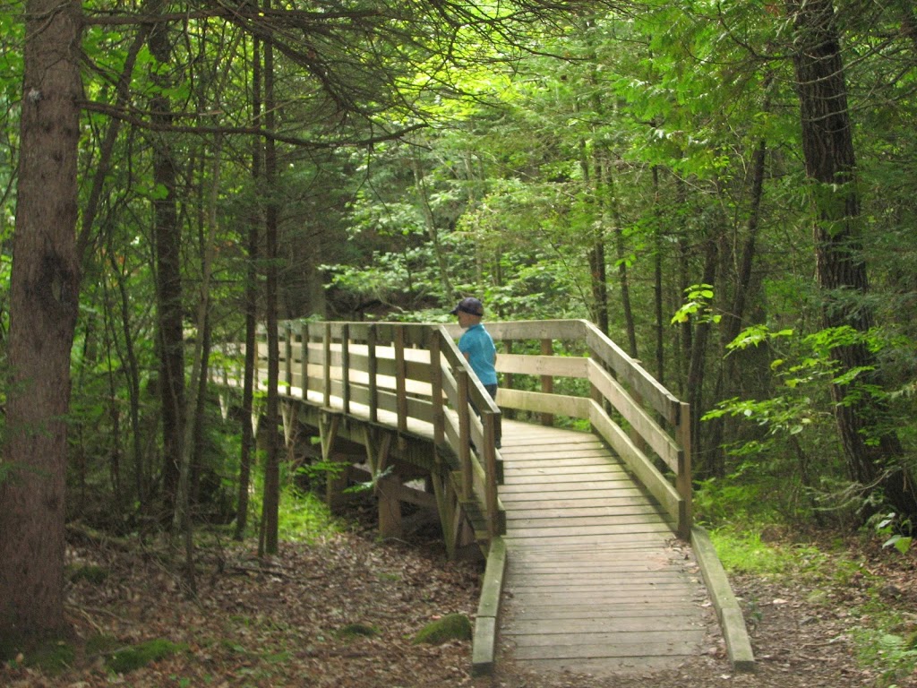HR Frink Conservation Area and Outdoor Education Centre | 381 Thrasher Rd, Plainfield, ON K0K 2V0, Canada | Phone: (613) 968-3434