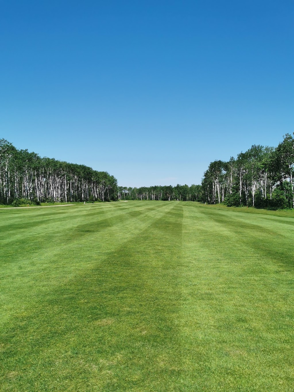 Oakwood Golf Course Municipal Rd 41 E, Ste Anne, MB R5H 1R2, Canada