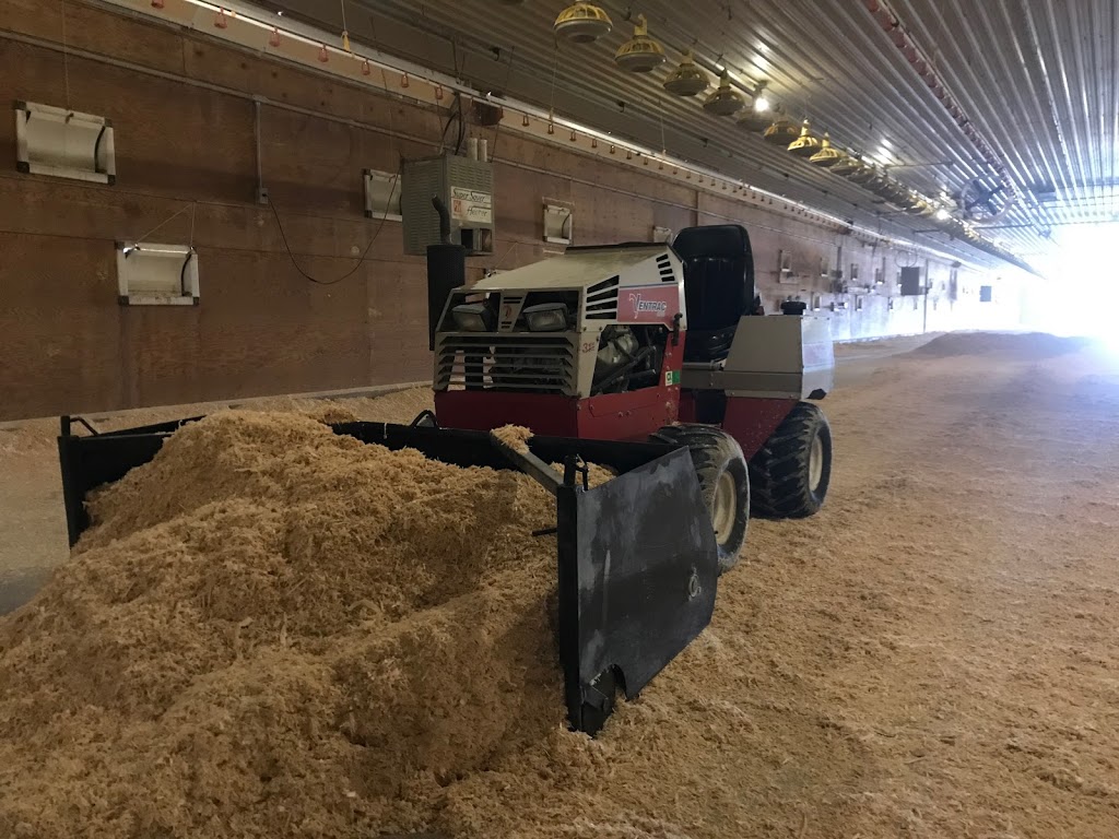 Mapleton Poultry | 7164 Side Rd 15, Moorefield, ON N0G 2K0, Canada | Phone: (226) 989-7625