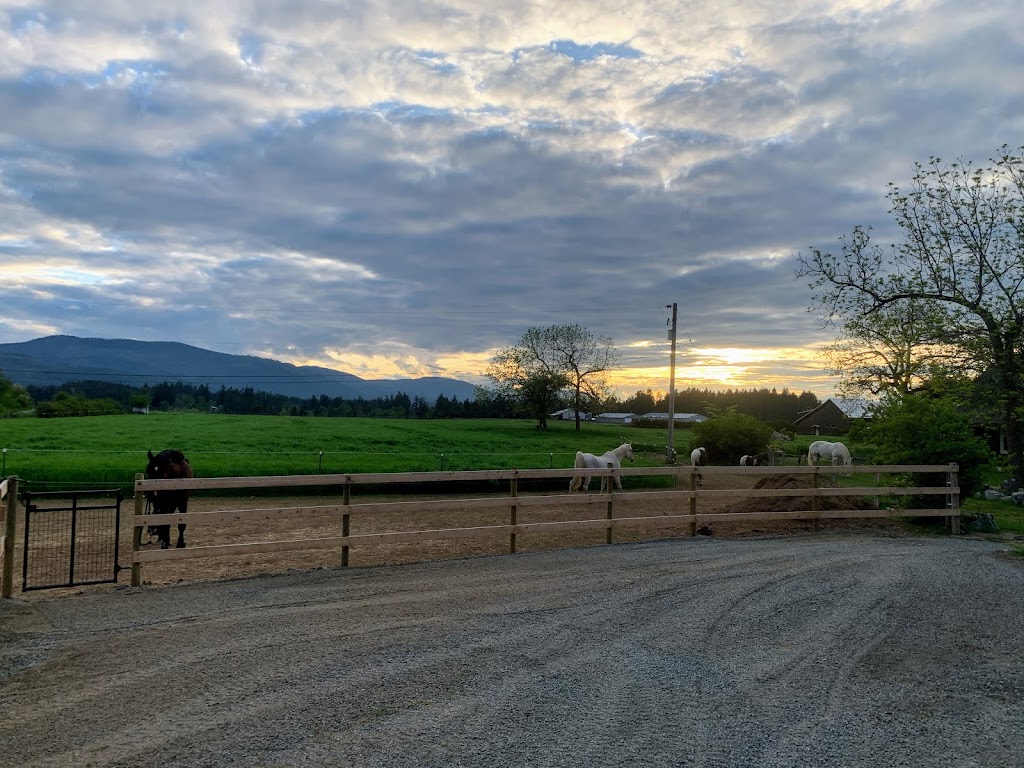 Little Blackbird Farm | 1885 Wilmot Rd, Cowichan Bay, BC V0R 1N1, Canada | Phone: (250) 888-5816
