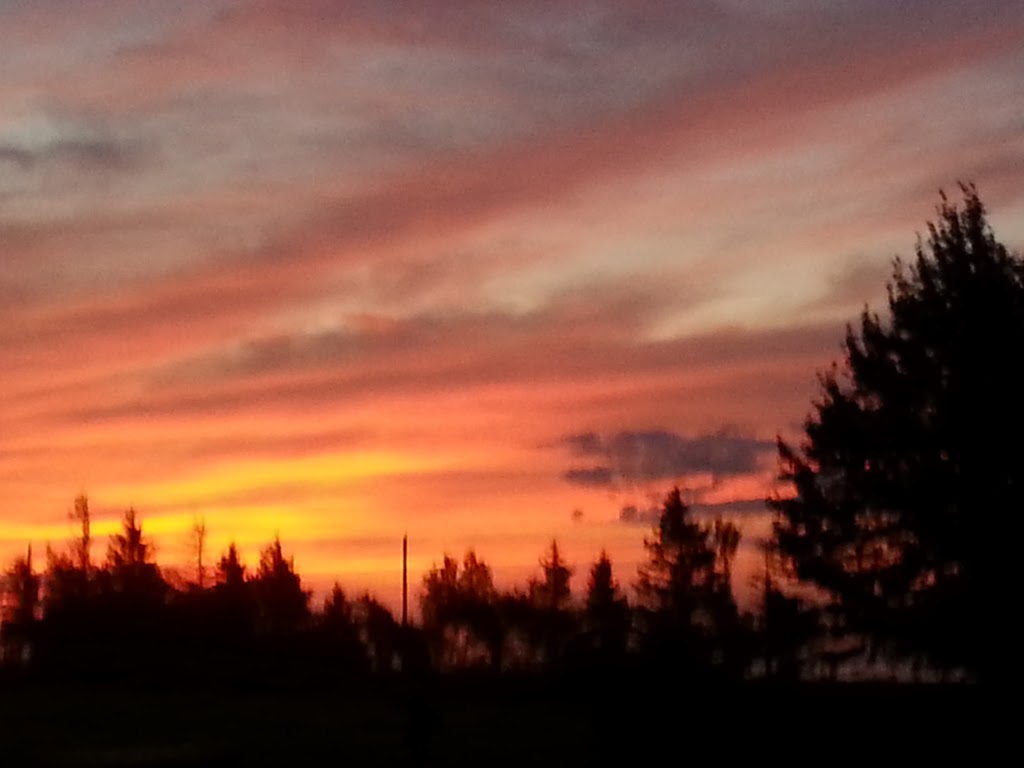 Indian Point Motel | 323 Fort St, Port Elgin, NB E4M 3Y9, Canada | Phone: (506) 538-7586
