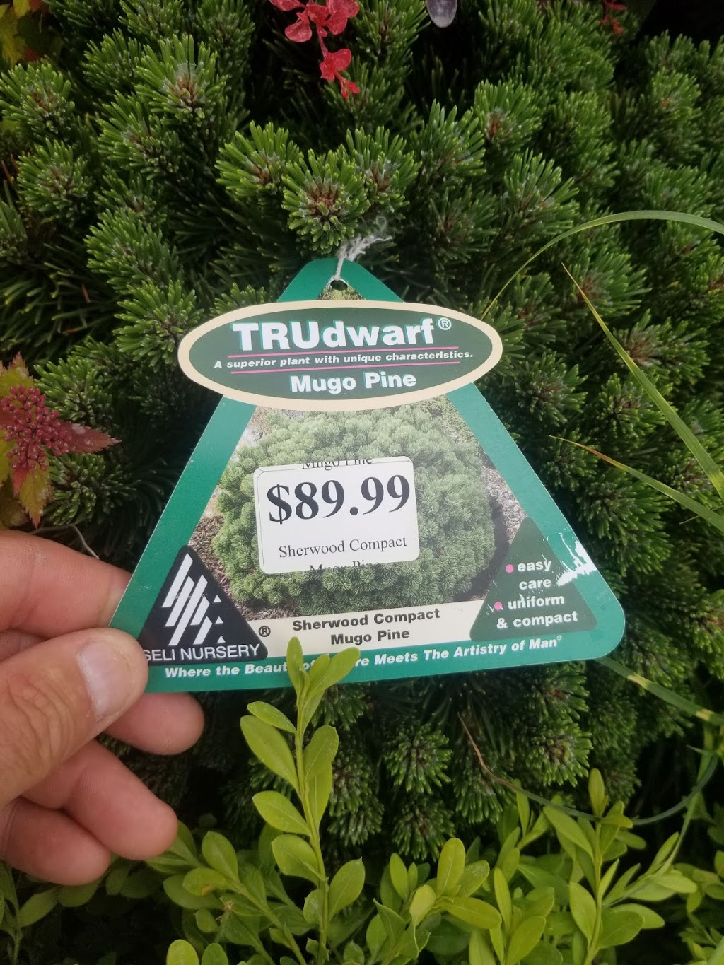 Cambridge Garden Centre | 1718 Morrison Rd, Cambridge, ON N1R 5S2, Canada | Phone: (519) 622-1173