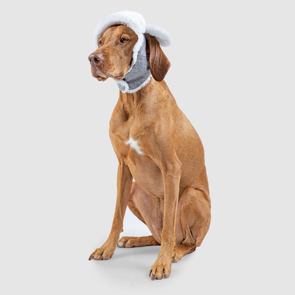 Natural Pet Foods | 61 Bridge St, Carleton Place, ON K7C 2V2, Canada | Phone: (613) 253-7387