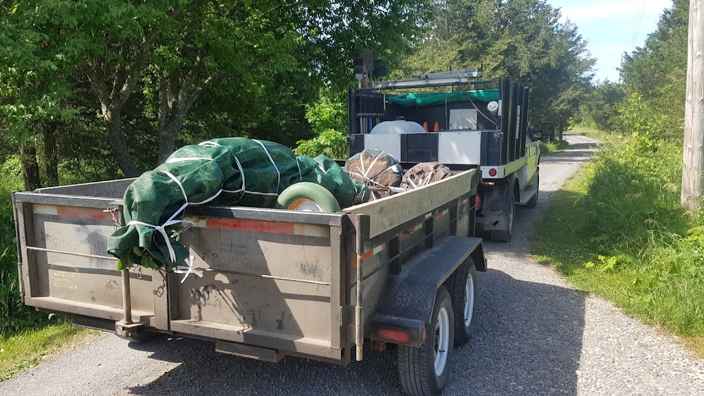 Weese Tree Preservation and Weese Nurseries | 541A S Shore Rd, Napanee, ON K7R 3K7, Canada | Phone: (613) 352-5988