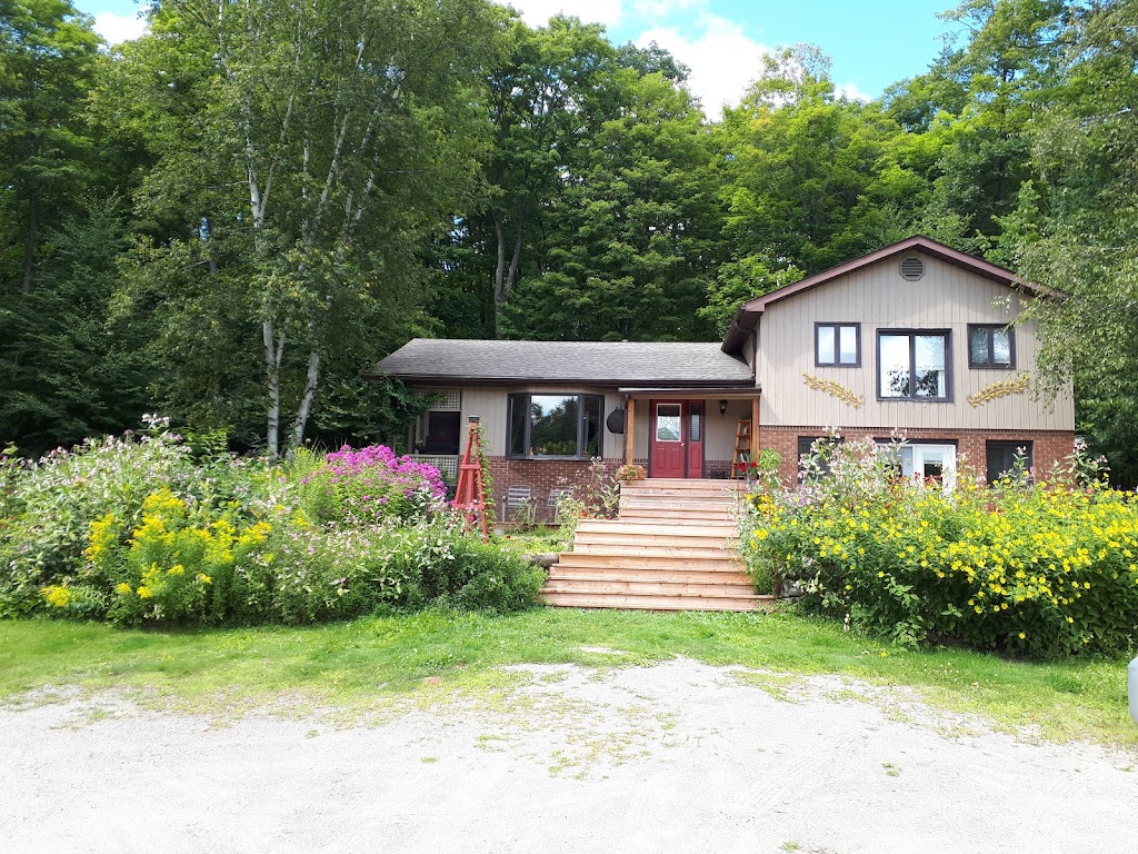Reflection B&B | 12612 ON-118, Algonquin Highlands, ON K0M 1J1, Canada | Phone: (705) 457-2119