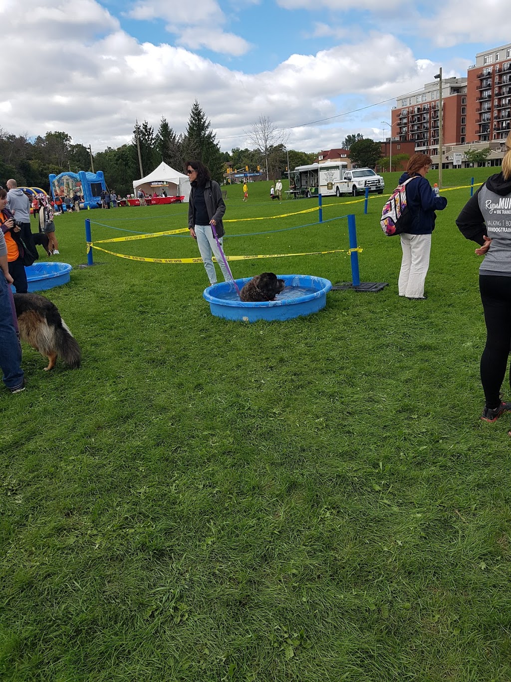 Queen Juliana Park | 870 Carling Ave, Ottawa, ON K1A 0Z2, Canada
