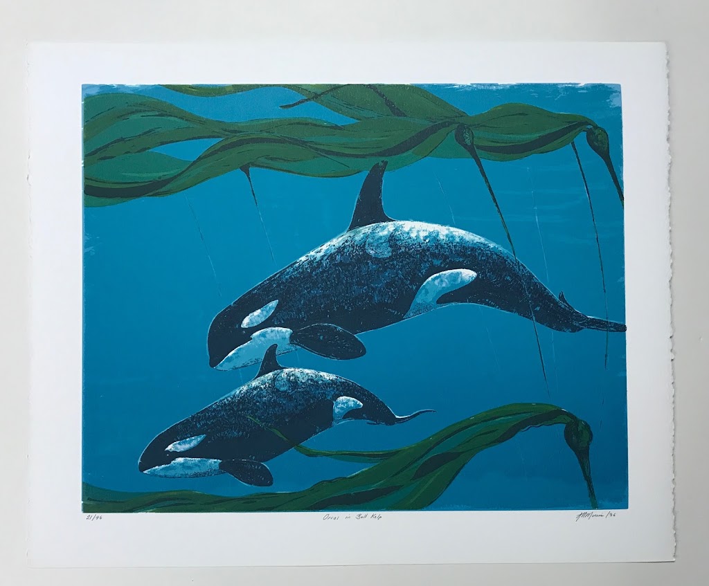 Silver Bowerbird Gallery | 479 4th St, Courtenay, BC V9N 1G9, Canada | Phone: (250) 702-4084