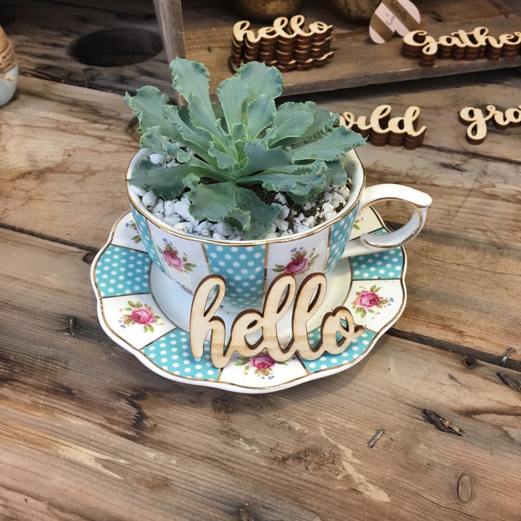Pretty Little Flowers | 20 McLeod Ave #2a, Spruce Grove, AB T7X 3Y1, Canada | Phone: (780) 962-4771