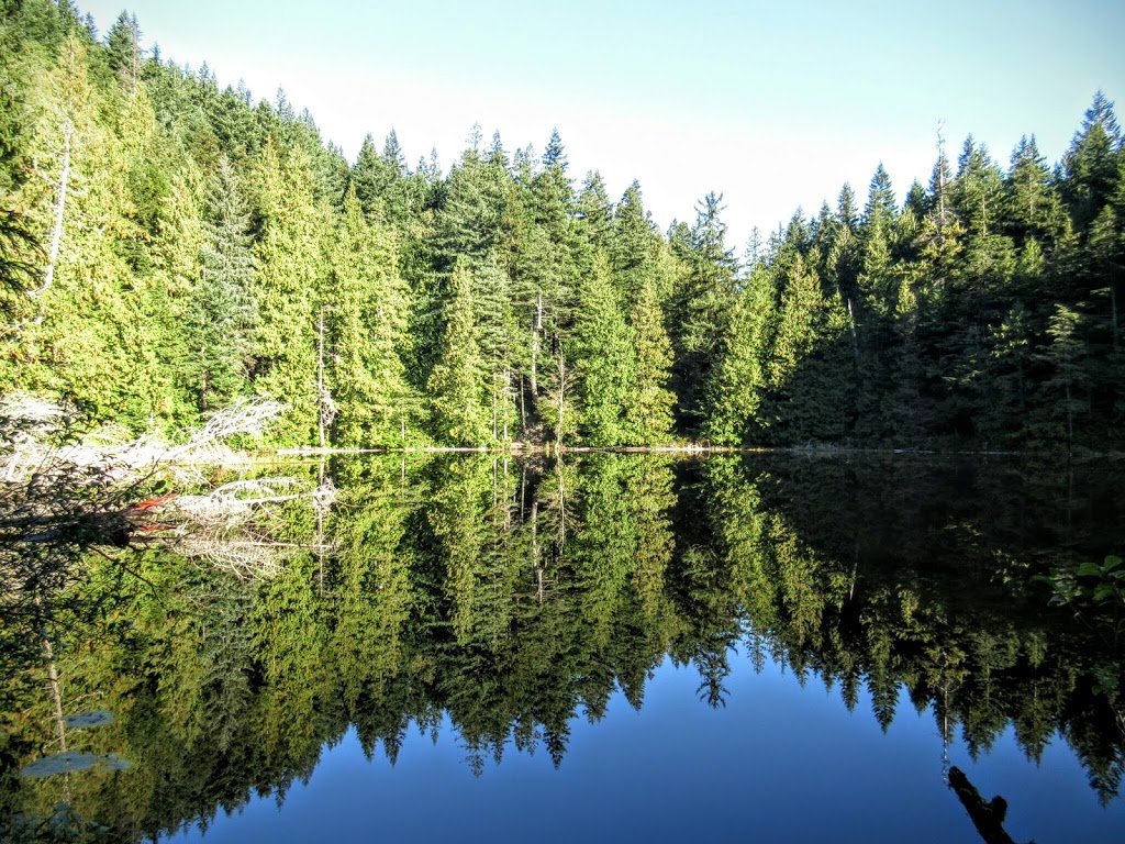 Chuckanut Mountain / Pine & Cedar Lakes County Park | Pine and Cedar Lakes Trail, Bellingham, WA 98229, USA | Phone: (360) 733-2900