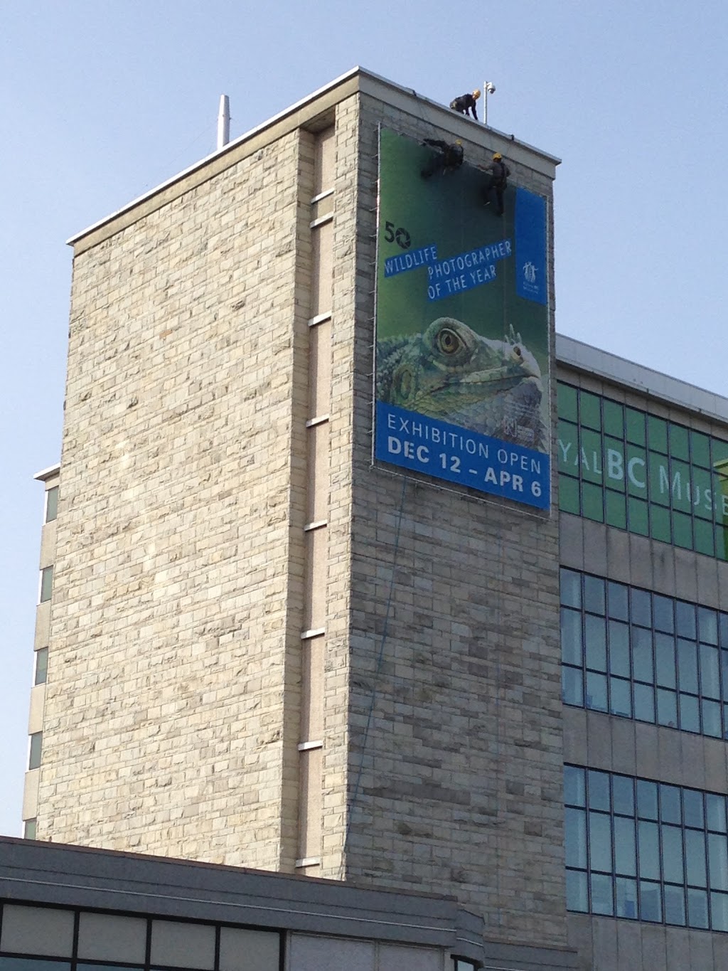 Houston Sign | 502 William St, Victoria, BC V9A 3Y9, Canada | Phone: (250) 385-9993