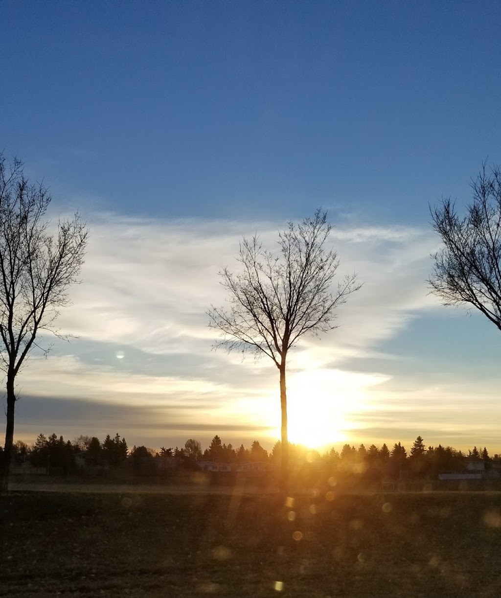 Aldergrove Park | 87 Ave NW, Edmonton, AB T5T 1X1, Canada