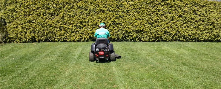 Towners Lawn Service | 110 Tyendinaga Dr, Southampton, ON N0H 2L0, Canada | Phone: (519) 797-1183