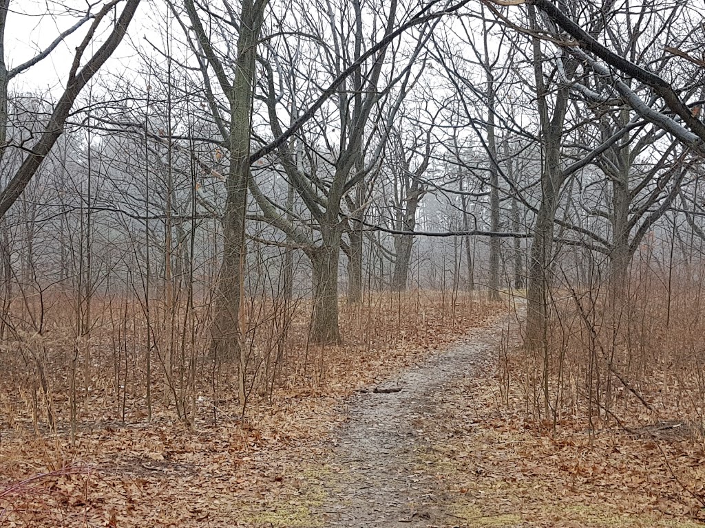 Oak Knoll Park | 701 Mountain Brow Blvd, Hamilton, ON L8K 5C7, Canada