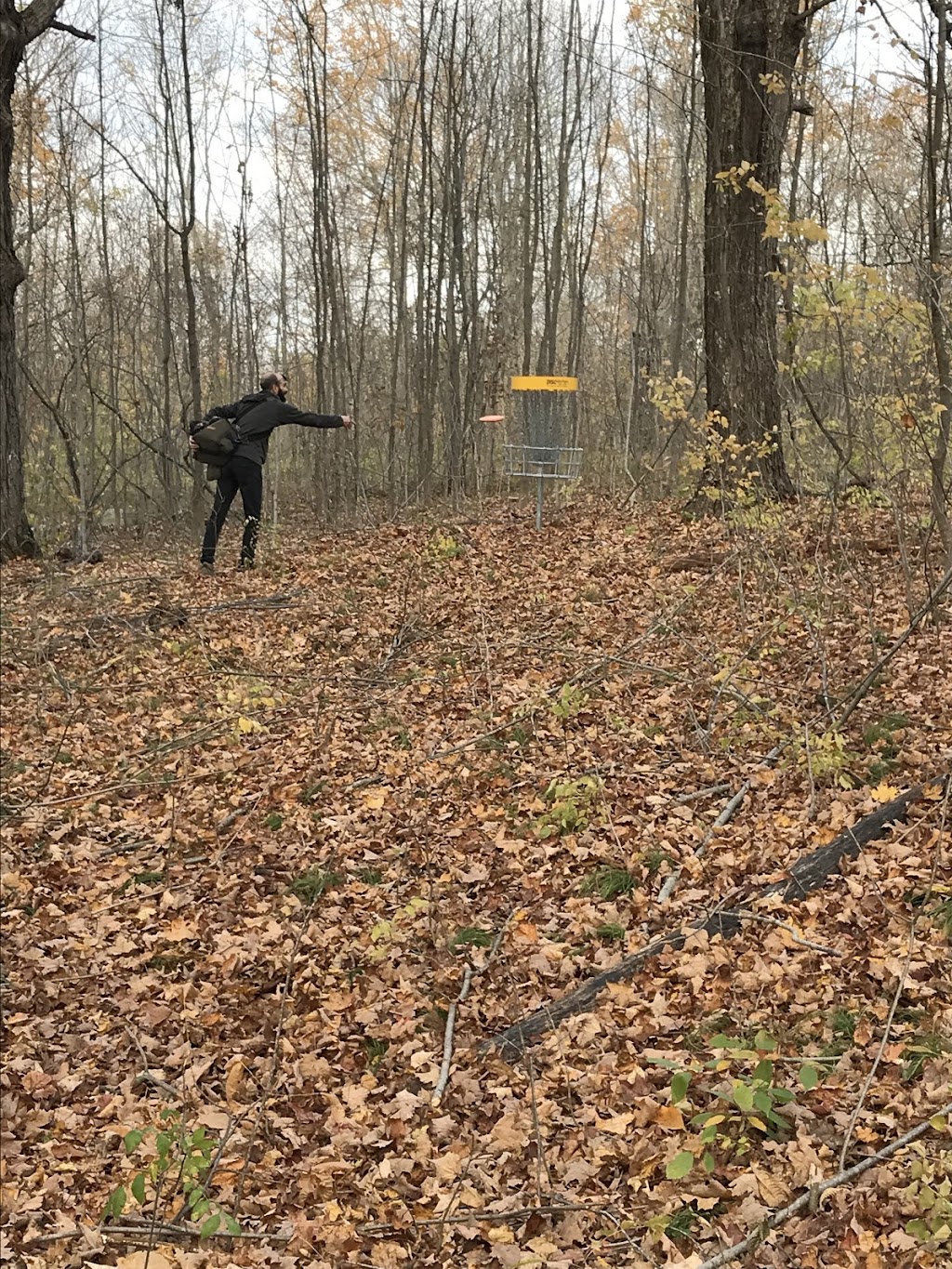 Stones Throw Disc Golf | 5464 County Rd 6, Enterprise, ON K0K 1Z0, Canada | Phone: (613) 545-7777