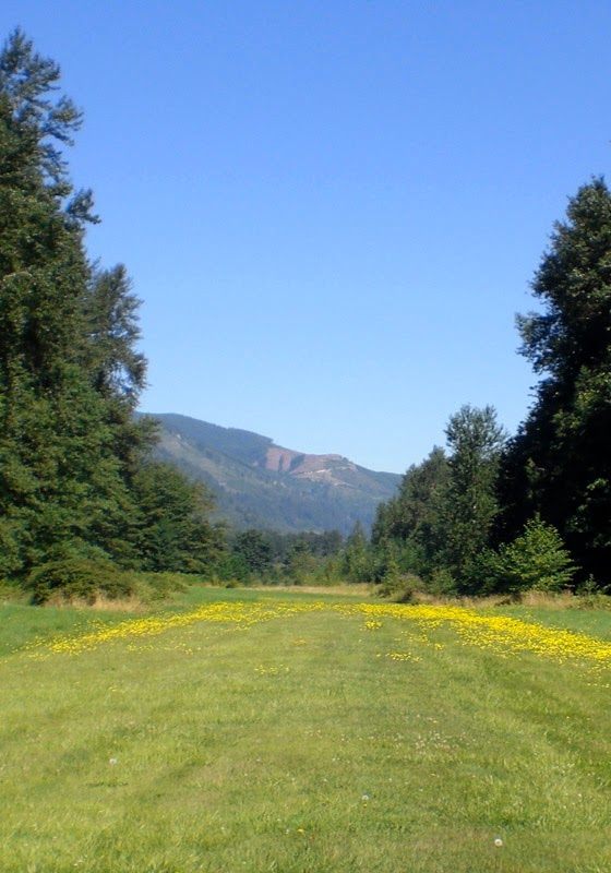 Acme Field | Rothenbuhler Rd, Acme, WA 98220, USA | Phone: (360) 595-2152