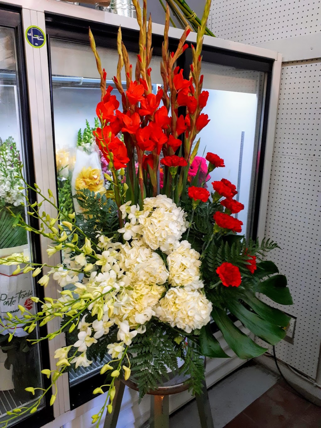 Fleuriste Elie (Mon) | 2555 Rue de Salaberry, Montréal, QC H3M 1L1, Canada | Phone: (514) 856-1247