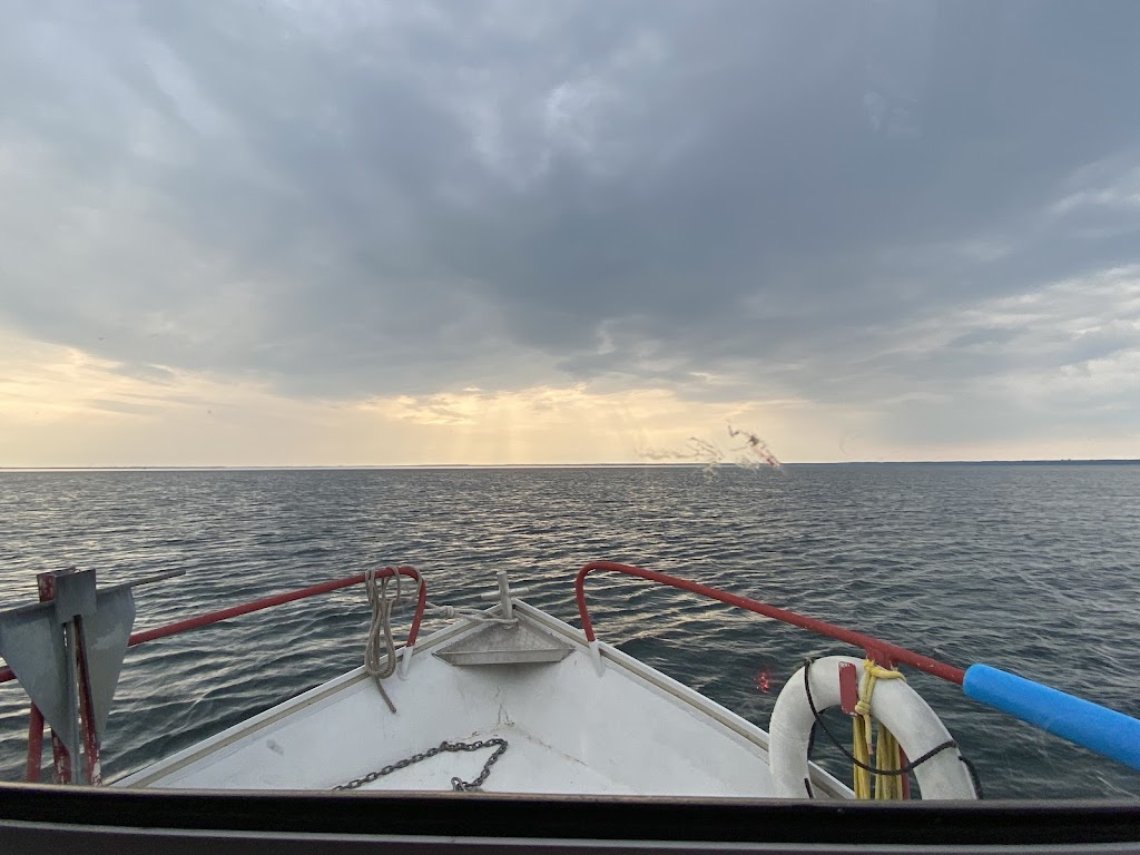 Abucs scubA Diving Centre | 65 County Rd 38, Picton, ON K0K 2T0, Canada | Phone: (613) 345-2800