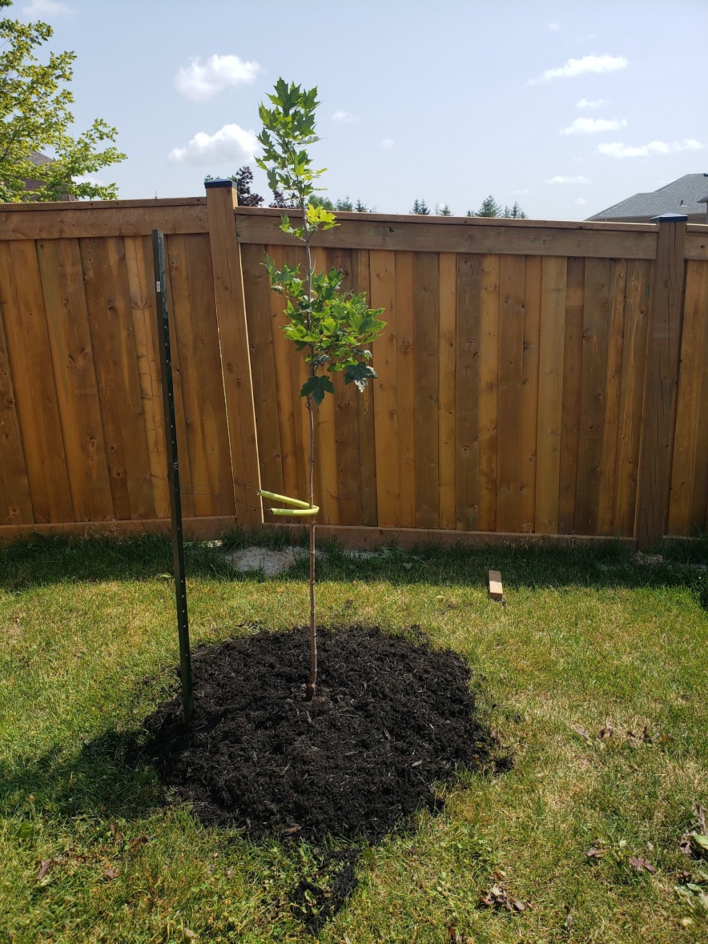 OHagan Trees | 176 Lilac Rd, Omemee, ON K0L 2W0, Canada | Phone: (705) 772-1055