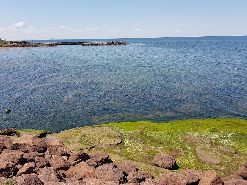 Westmorland Fisheries Ltd | 64 Rue Gautreau, Cap-Pelé, NB E4N 1V3, Canada | Phone: (506) 577-4325