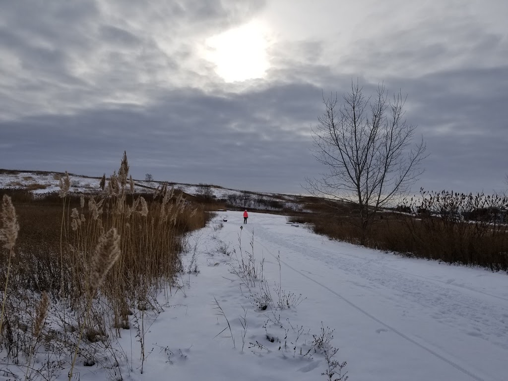Glenridge Quarry Naturalization Site | 1860 Sir Isaac Brock Way, St. Catharines, ON L2T 4C2, Canada | Phone: (800) 263-7215