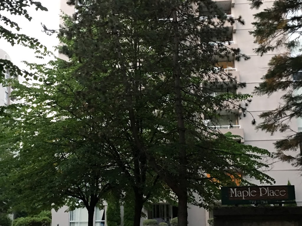 Maple Place Towers | 7351 Halifax St, Burnaby, BC V5A 4H2, Canada | Phone: (604) 421-1235