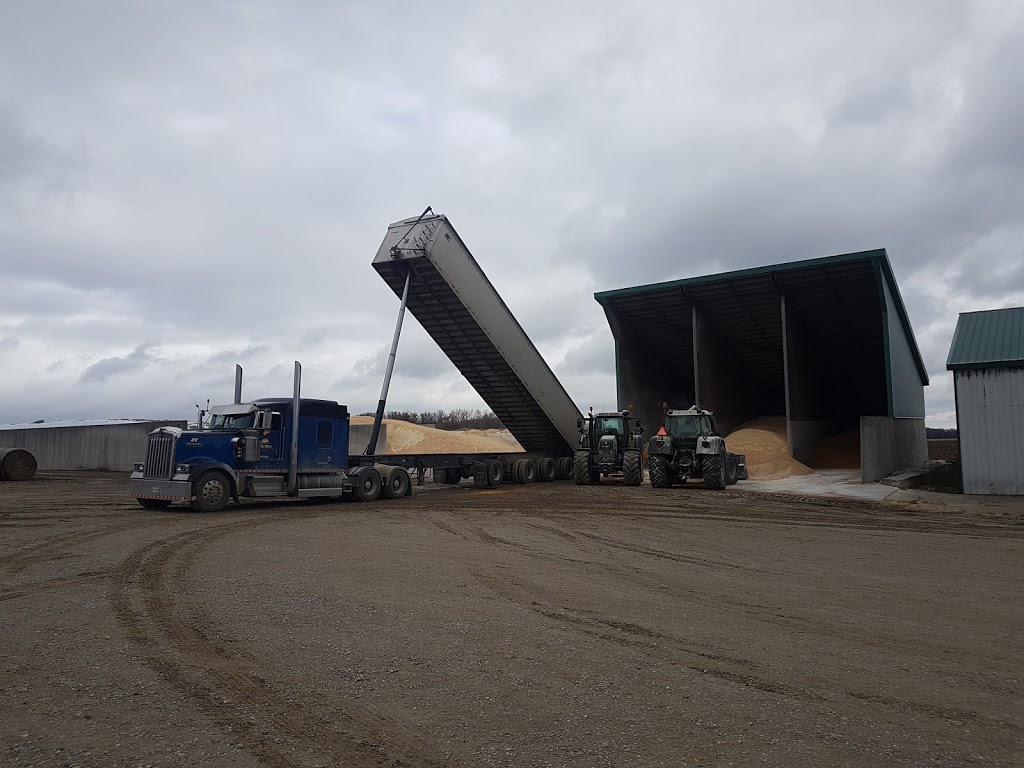 Will Rich Transport | 9100-8942, Wellington 16, Kenilworth, ON N0G 2E0, Canada | Phone: (519) 323-7226