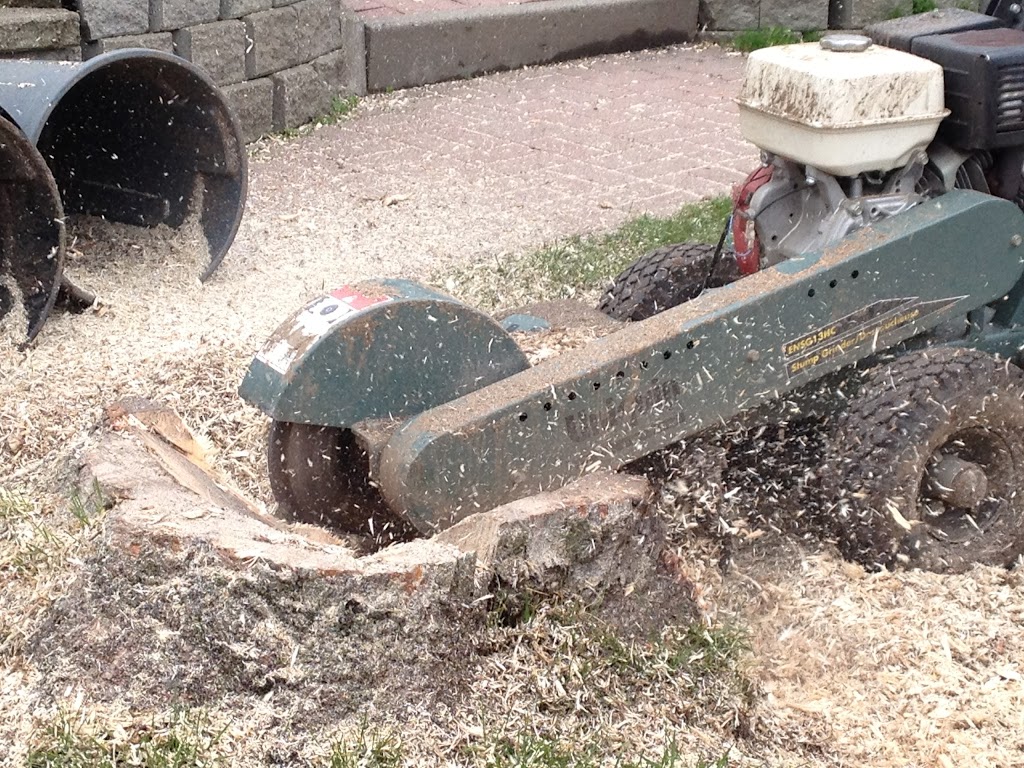 Arboriculture Thibault Inc. | 2994 Rte de lAéroport, Québec, QC G3K 1B3, Canada | Phone: (418) 657-0862