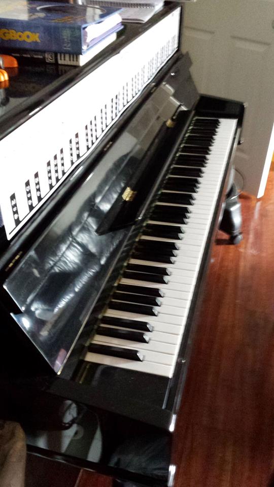 pianissimo piano studio | 127 Aspen Cir, Strathmore, AB T1P 1X7, Canada | Phone: (403) 480-1060