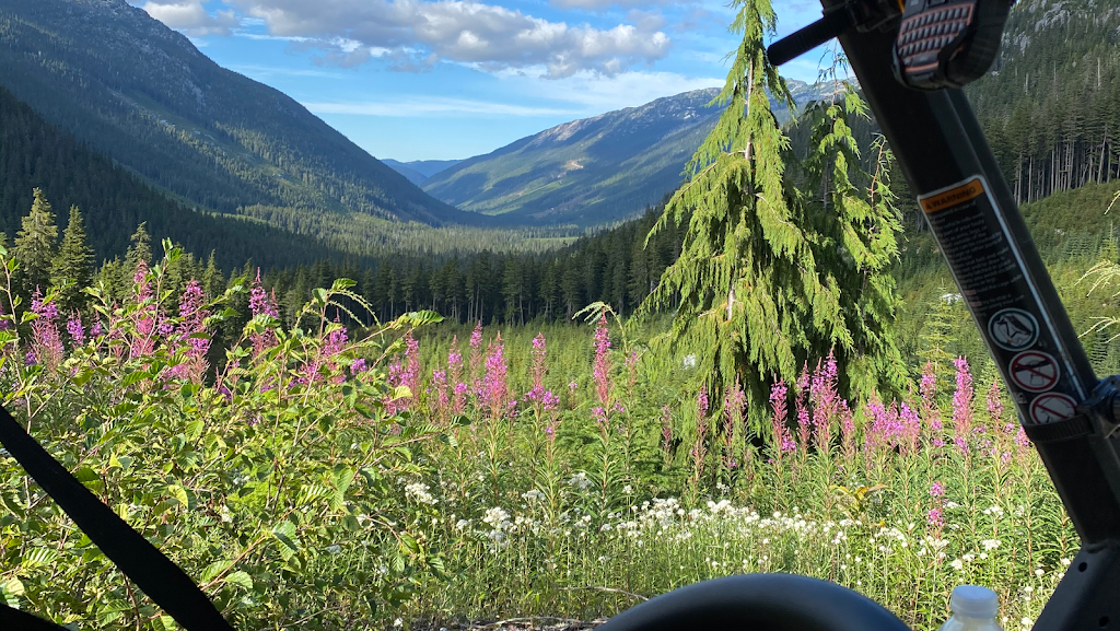 Harrison Lake Nature Adventure | 112-196 Esplanade Ave, Harrison Hot Springs, BC V0M 1K0, Canada | Phone: (866) 572-6444