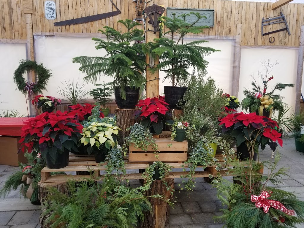 Jaspersons Greenhouse | 73107 Private, Provincial Road 236, Stonewall, MB R0C 2Z0, Canada | Phone: (204) 467-2081