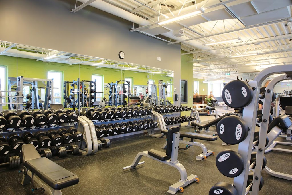 Forest City Fitness | 460 Berkshire Dr, London, ON N6J 3S1, Canada | Phone: (519) 619-8577
