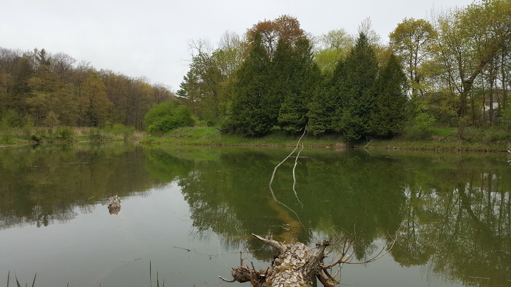 Strasburg Creek | Brigadoon, Kitchener, ON N2R, Canada