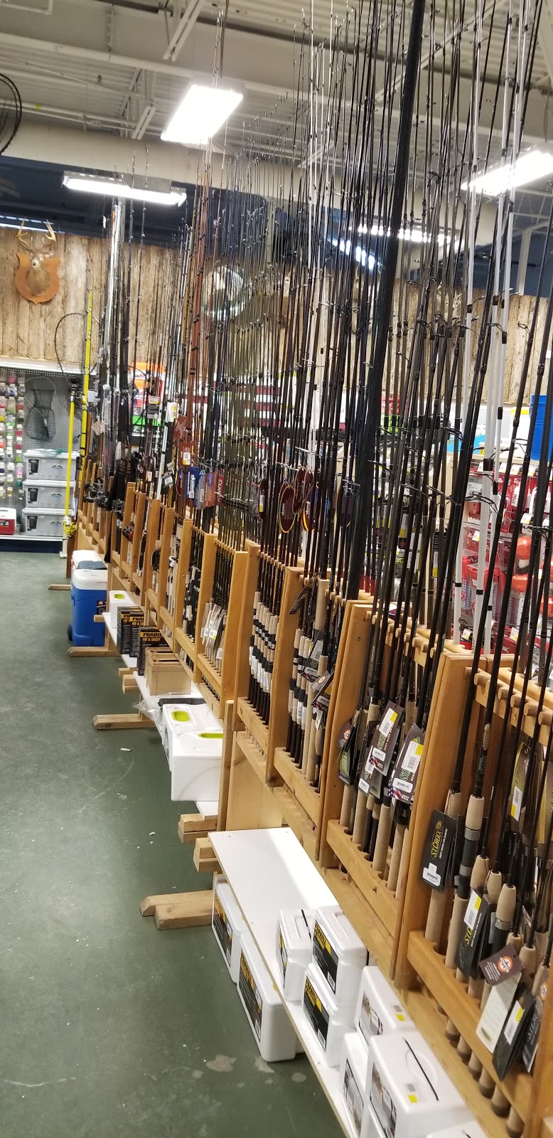 chasse et peche taschereau