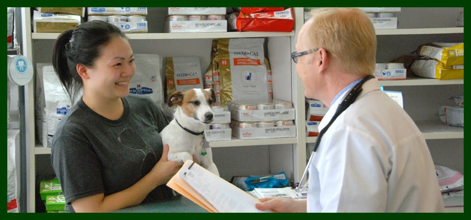 Anderson Animal Hospital | 8465 Granville St, Vancouver, BC V6P 4Z9, Canada | Phone: (604) 263-6767