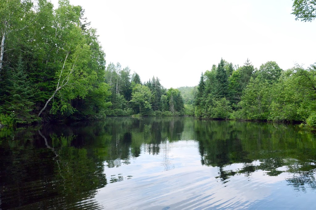 Camping sauvage Domaine Kalina | 6440 Chemin Kalina, Rawdon, QC J0K 1S0, Canada | Phone: (450) 834-8170