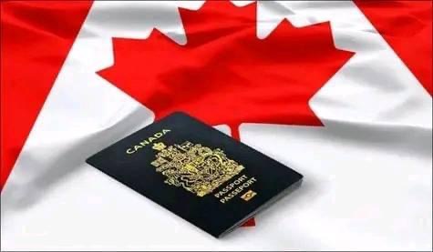Hadji Canada Immigration | 145 Rue Boivin, Châteauguay, QC J6J 2Z3, Canada | Phone: (438) 869-5314