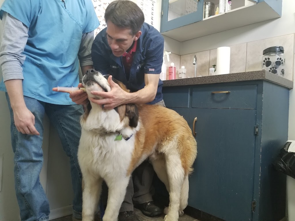 Foothills Veterinary Clinic | 376 1 Ave W, Cardston, AB T0K 0K0, Canada | Phone: (403) 653-4424