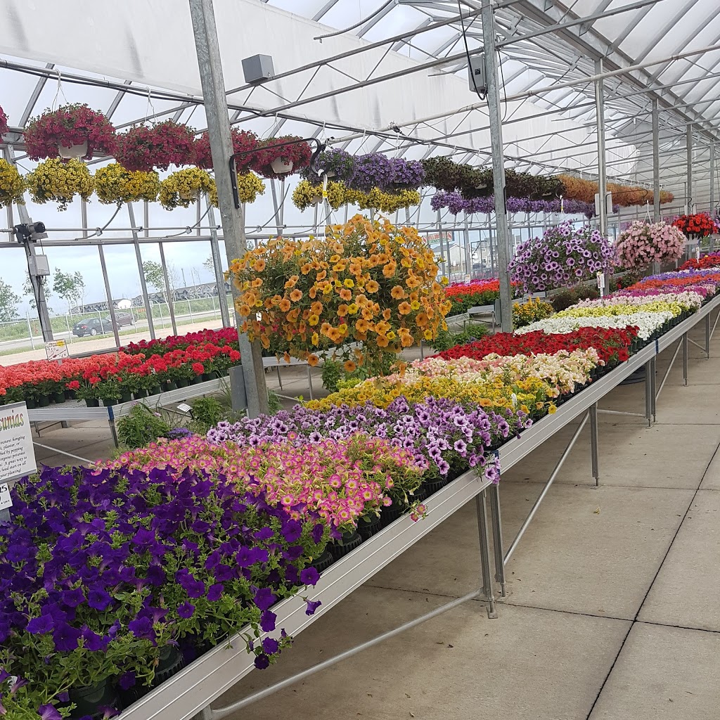 Sumka Brothers Greenhouses (1977) | 328 Peguis St, Winnipeg, MB R3W 1R4, Canada | Phone: (204) 661-9229