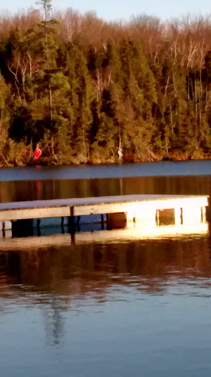 Loon Lake Resort | 302 Quin Mo Lac Rd, Madoc, ON K0K 2K0, Canada | Phone: (613) 473-0766