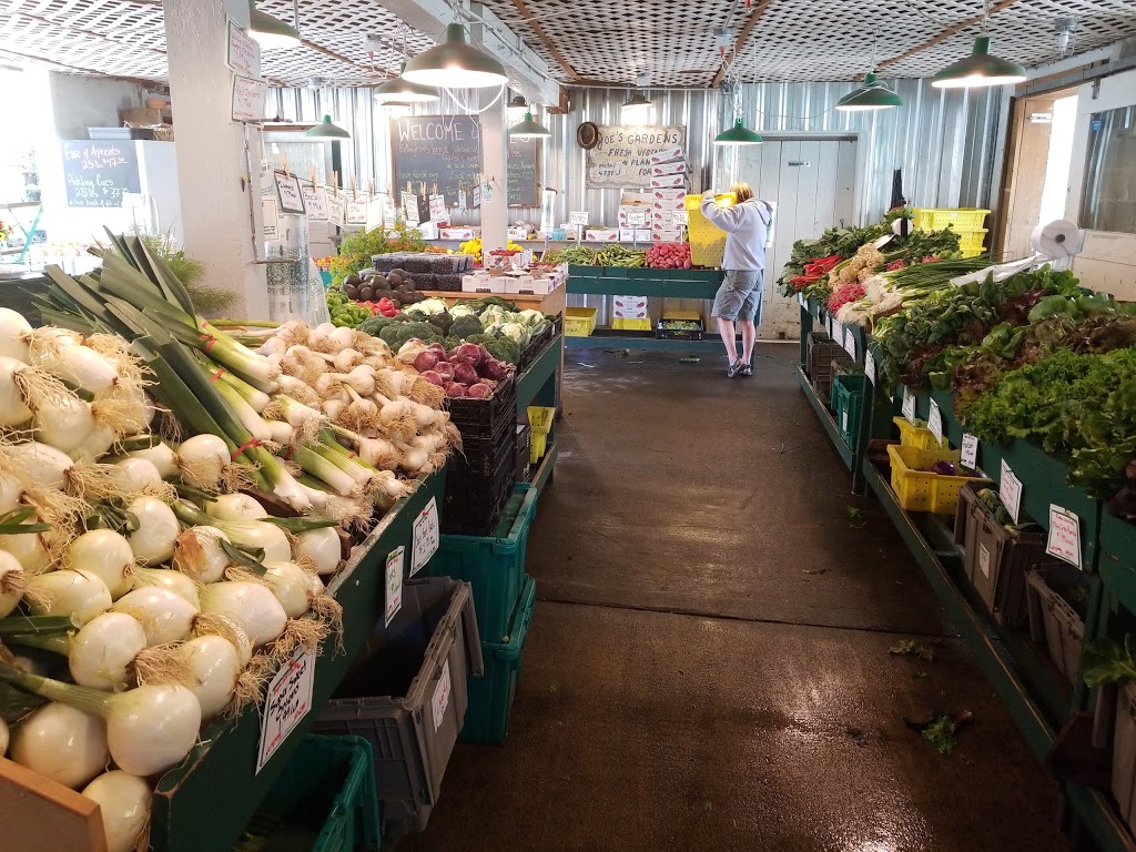 Joes Gardens | 3110 Taylor Ave, Bellingham, WA 98225, USA | Phone: (360) 671-7639