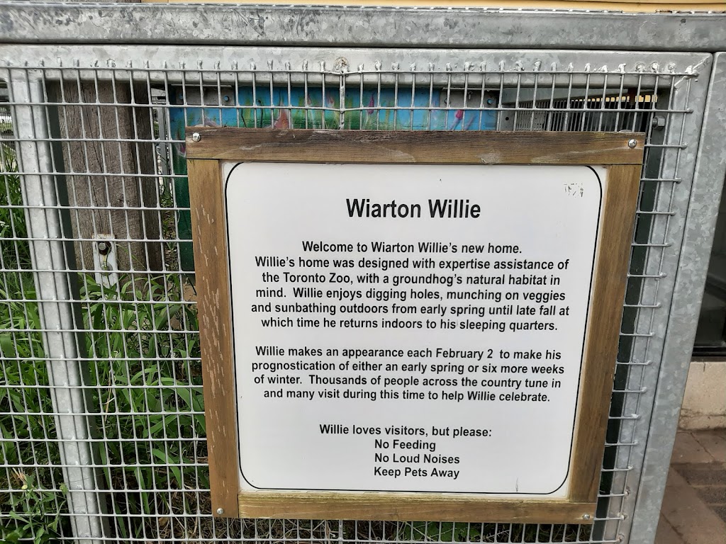 Wiarton Willie Statue | Unnamed Road, Wiarton, ON N0H 2T0, Canada | Phone: (519) 534-1400