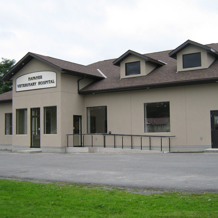 Napanee Veterinary Hospital | 61 County Rd 8, Napanee, ON K7R 3E6, Canada | Phone: (613) 354-6615