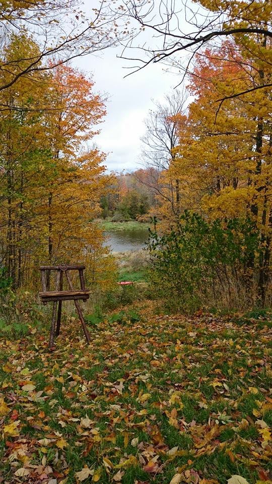 Maitland Riverside Suite | 86450 Marnoch Line, Wingham, ON N0G 2W0, Canada | Phone: (519) 871-2610
