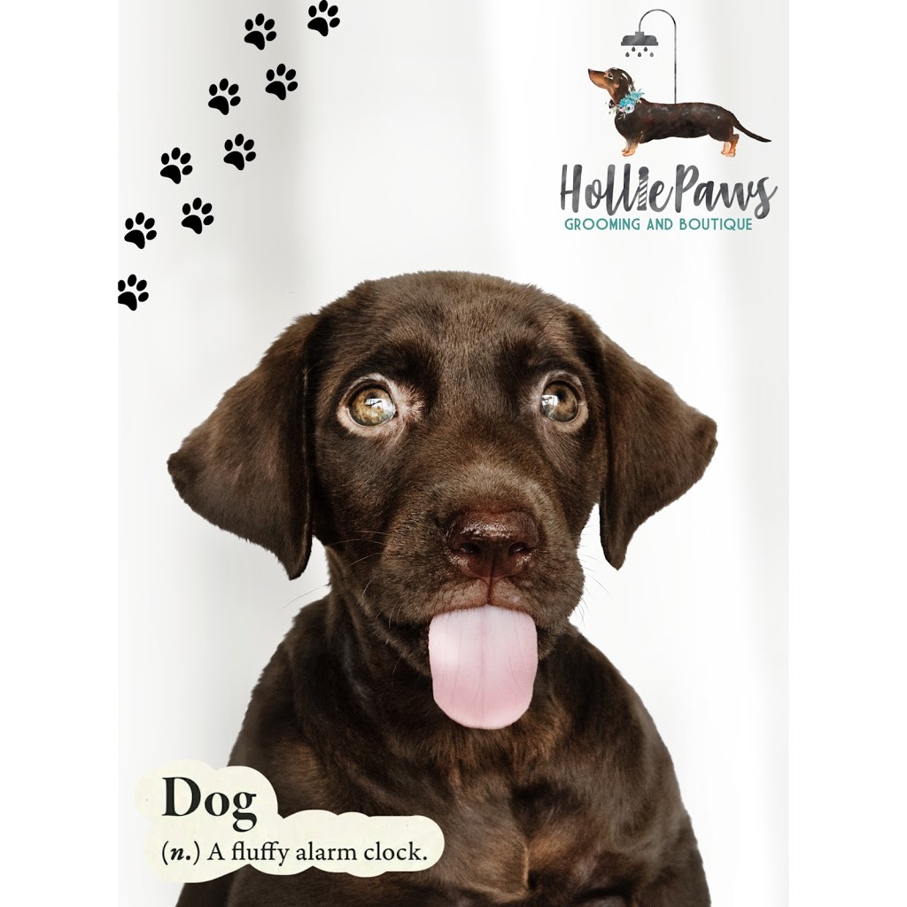 HolliePaws Grooming and Boutique | 4142 Newtonville Rd, Newtonville, ON L0A 1J0, Canada | Phone: (905) 243-6944